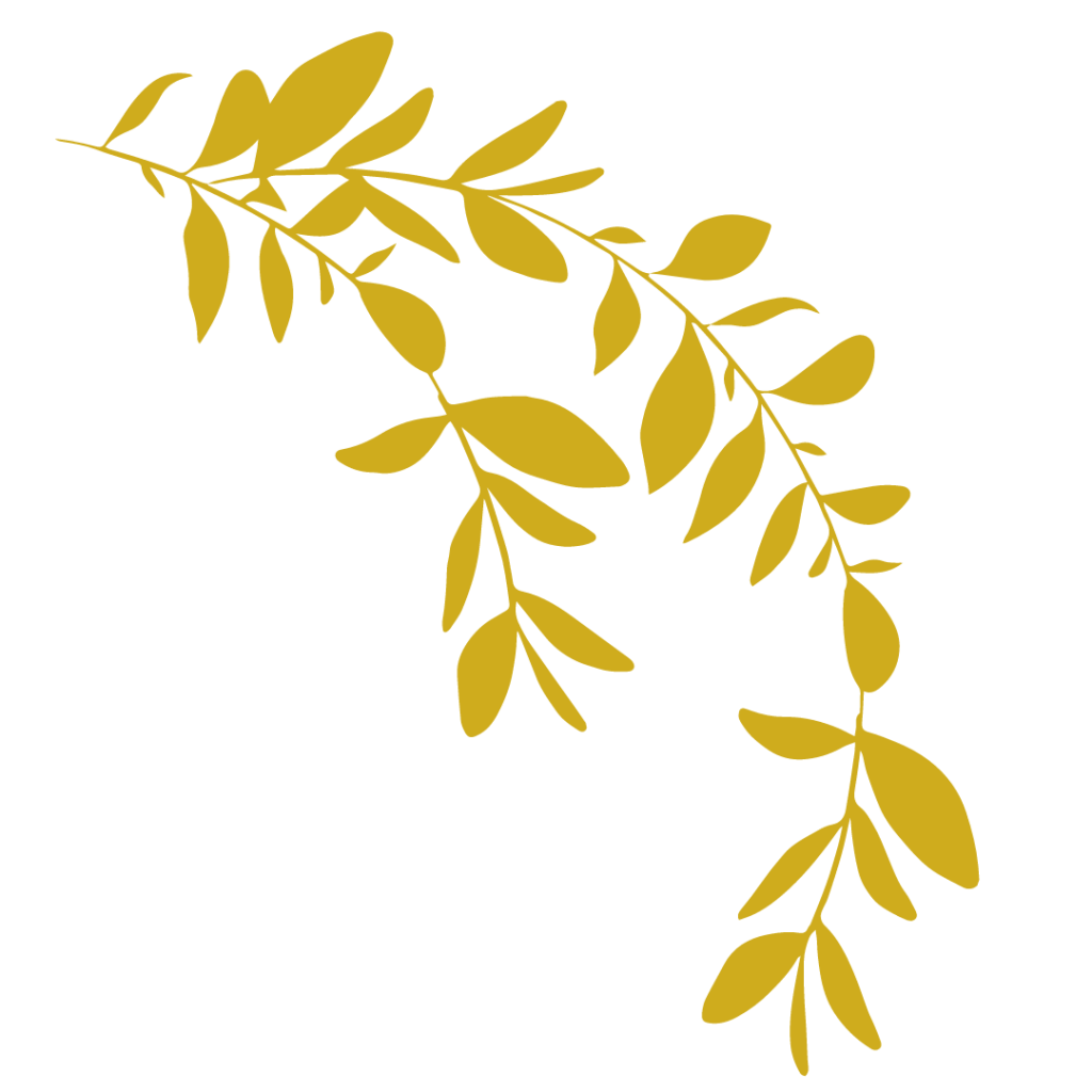 Дизайн без названия (1).png